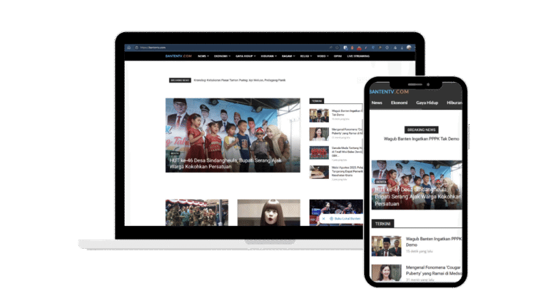 Perbaikan web