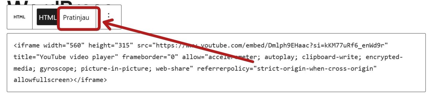 Cara Embed Video Youtube di Postingan WordPress