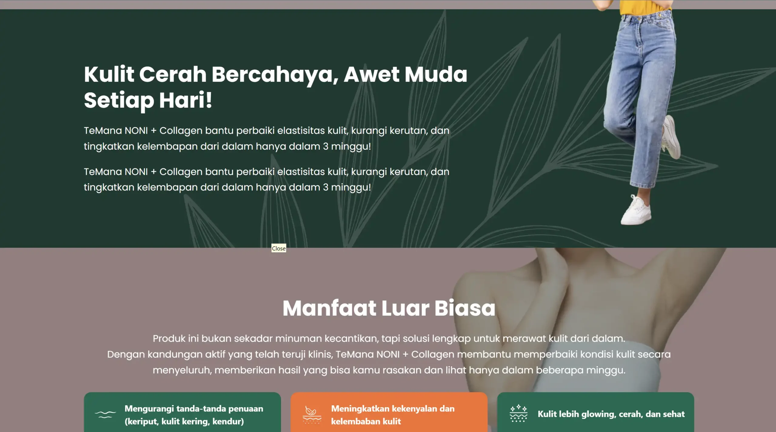 landing page