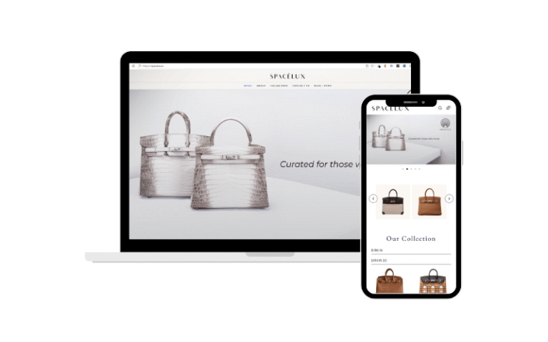 Portofolio Pembuatan Website Katalog Produk - spacelux.co