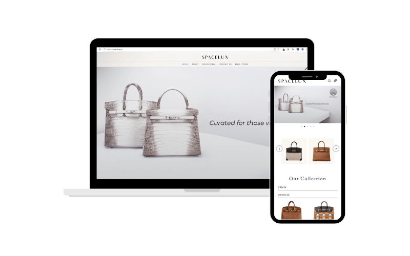 Portofolio Pembuatan Website Katalog Produk - spacelux.co